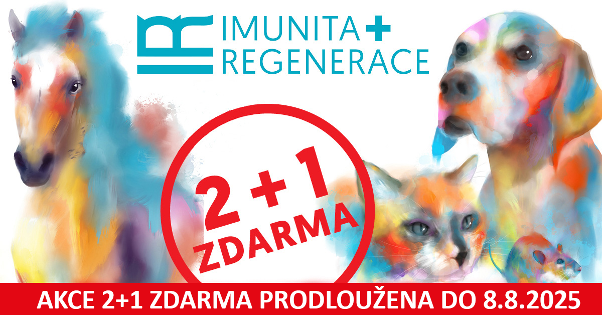 Akce 2+1