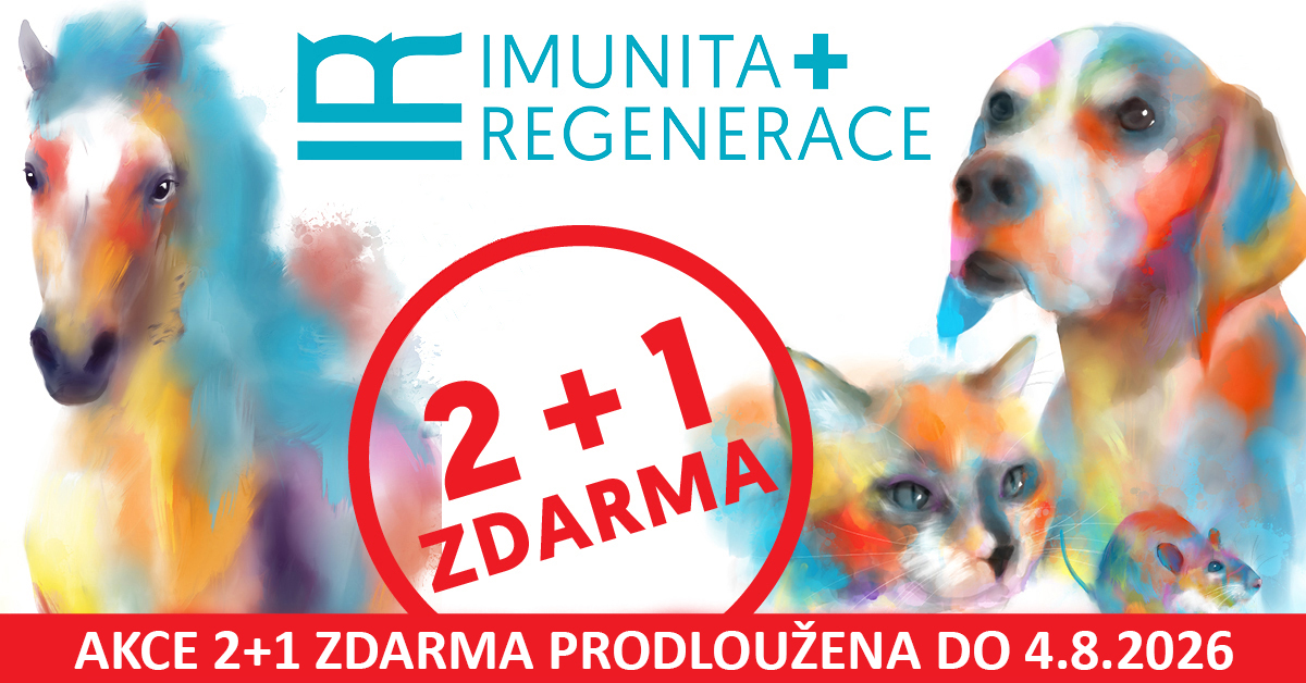Akce 2+1