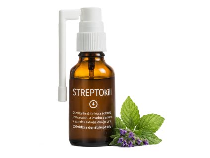 ChatGPT Image 17. 2. 2026 00 26 12