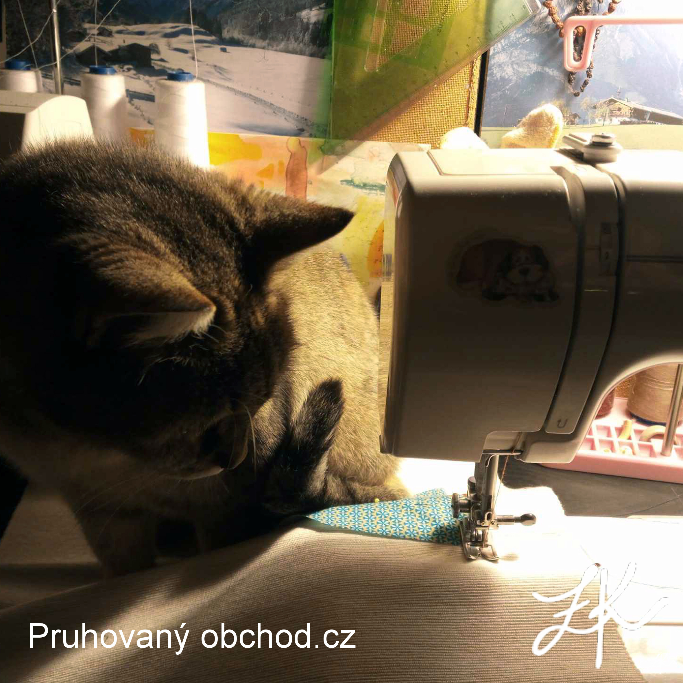 0a46a417-5004-49a9-8aa3-f67cd2fa30b8