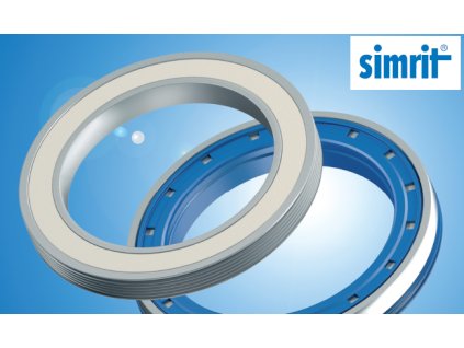 Simmering 22 x 42 x 10 B1 , SIMRIT