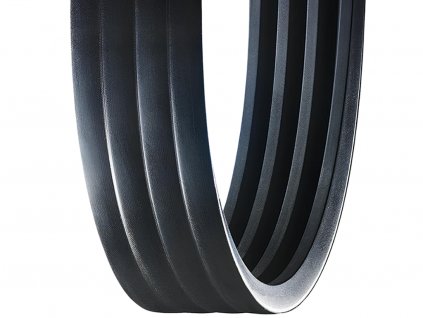 rubena banded belt