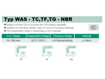 Simmering 100 x 125 x 12 EPDM-AS (TC EPDM)