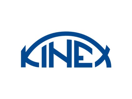 541759 lozisko 6005 2rs kinex