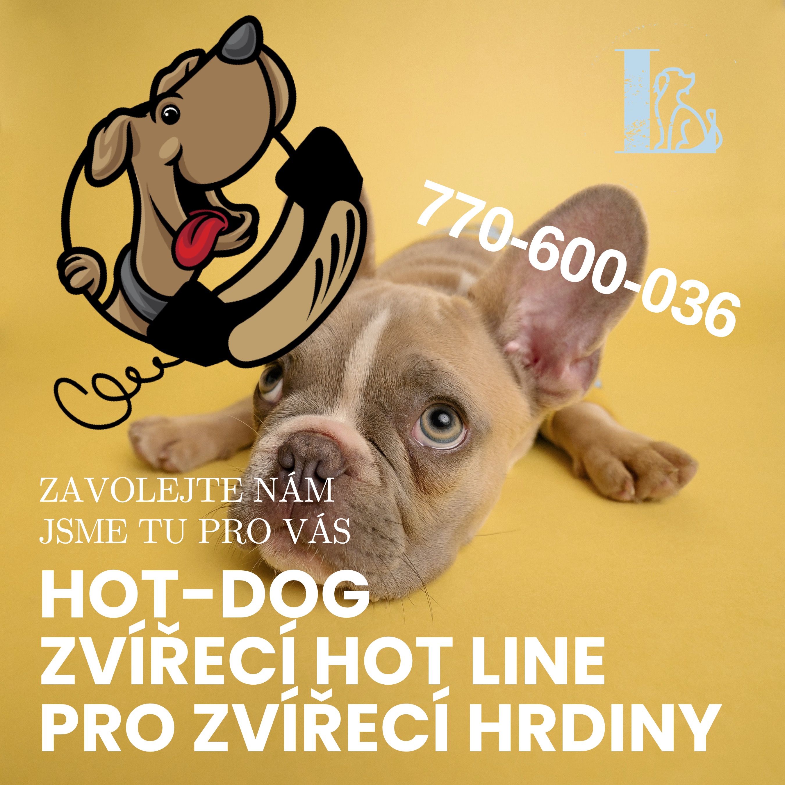 HOT DOG! PRVNÍ ZVÍŘECÍ HOT LINKA