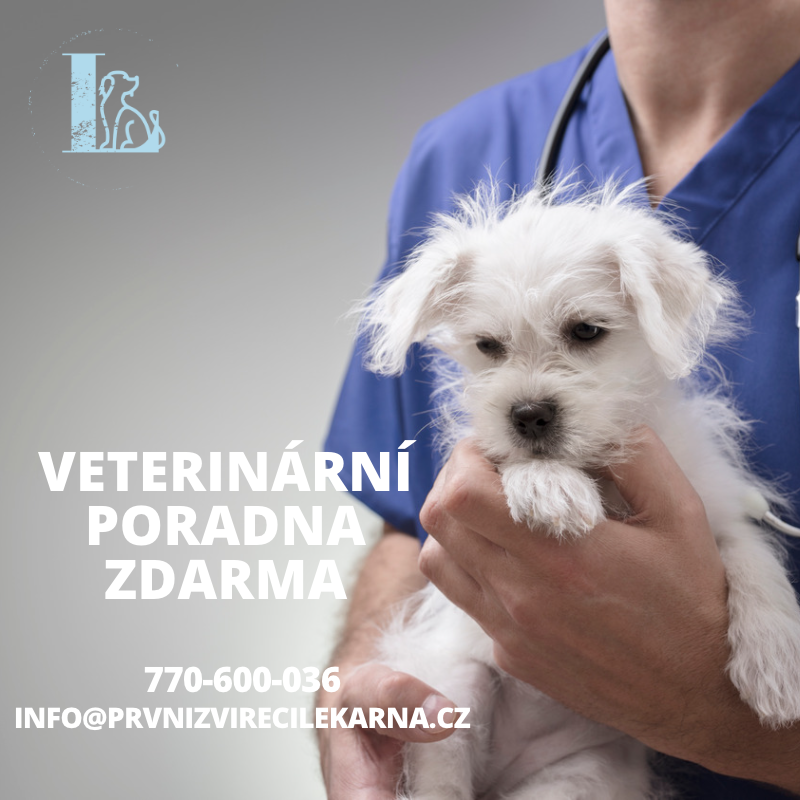 vet poradna stene - mobil