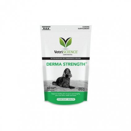 Derma-strength – kůže a srst psů