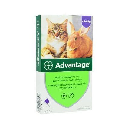 Advantage pro velké kočky a králíky (4 - 8kg) (hodnota 80mg)