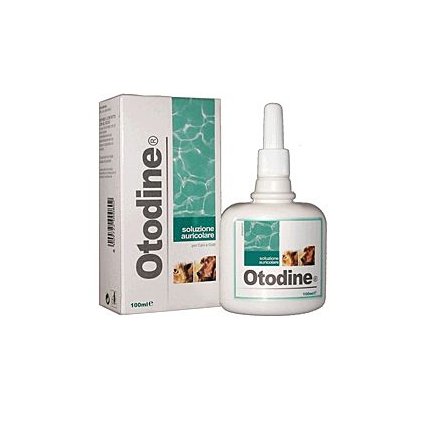 31644 1 otodine 100ml