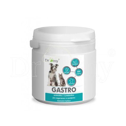 gastro