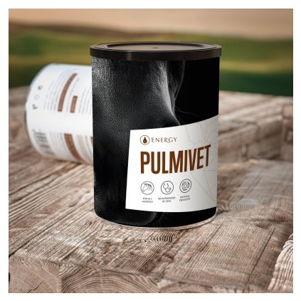 PULMIVET 400x400