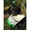24684 3 canine plus senior multivitamin