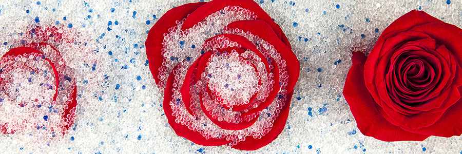 Sušené květiny do pryskyřice