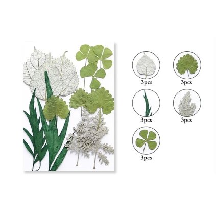 Sušené květiny SADA JS48 arch 145x105mm