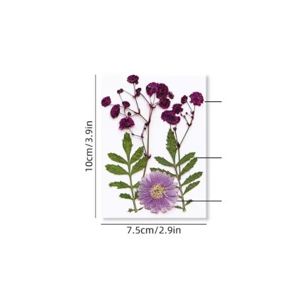 Sušené květiny SADA HAR-357 arch 100x75mm