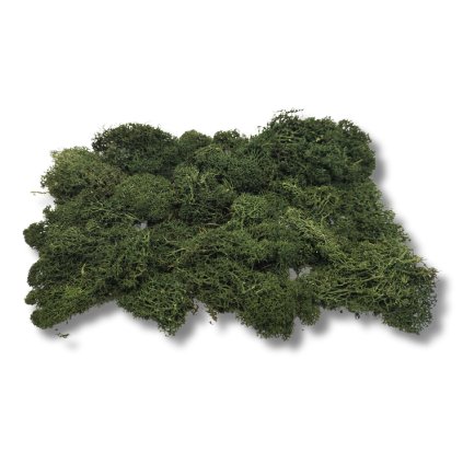 stabilizovaný mech tmavý