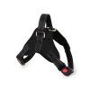 58539 2 cerny postroj pro psa s rukojeti angly l
