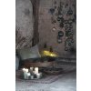 54677 3 zelena sloupova svicka rustic candle green 7 5 cm