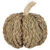 Přírodní dekorace dýně PUMPKIN COACH GRASS pro podzimní výzdobu