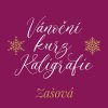 vanocni kurz zasova