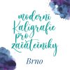 kurz cover new zacatecnici brno