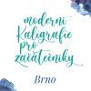 kurz cover newbrno