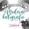 kurz cover new handlettering zasova
