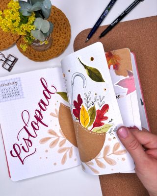 🍁 Listopadový Bullet Journal layout! ✨ Tvořili jsme ho spolu už v říjnu na YouTube @psanijehrani a musím říct, že tenhle...