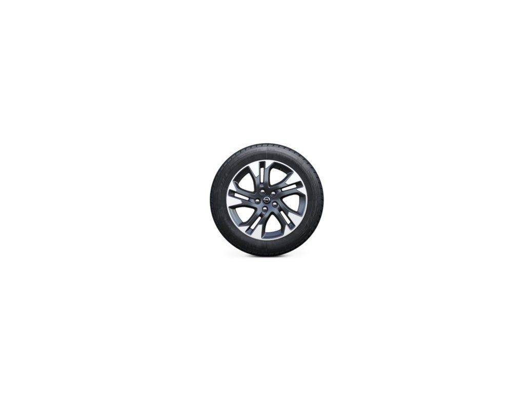 Jante Opel en alliage 17" - 5 rayons doubles - Bicolore