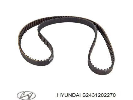 S2431202270