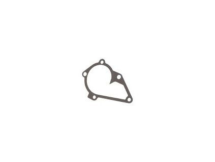 Kia Cooling pump gasket 2512402500