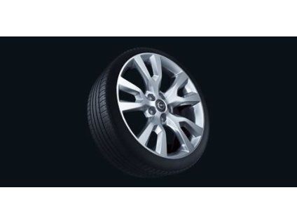 Opel Cerchio In Lega 19" - 5 Razze, Design Y - Argento