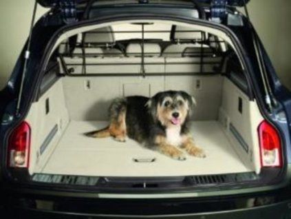 Opel Griglia Per Cane