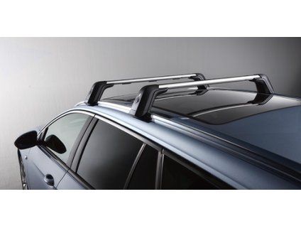 Opel Portaesquís Básico - Aluminio