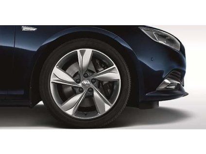 Opel Cerchio In Lega
