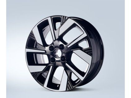 Opel Cerchio In Lega