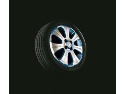 Opel Cerchio In Lega