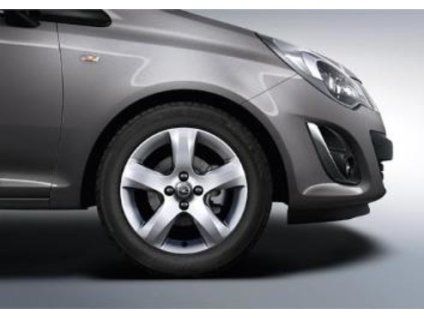 Opel Cerchio In Lega