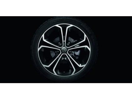 Opel Cerchio In Lega
