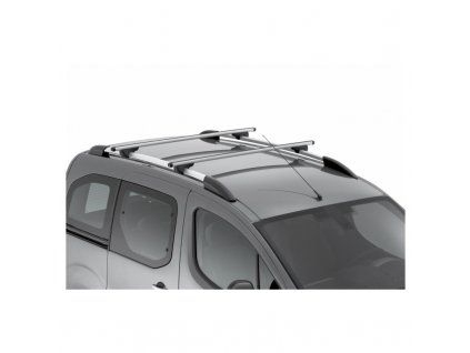 Citroën Berlingo (Multispace) B9 Barras de techo con barras