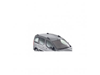 Citroën Berlingo (Multispace) B9 Zestaw 2 podłużnych relingów dachowych