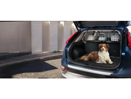 AT150ADE00 AT122ADE10E IM Dog guard and Trunk line Emotinal image 01 rgb 72