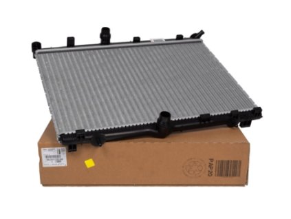 Peugeot, Citroën, Opel Engine radiator 98 253 333 80