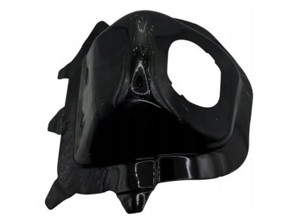 Peugeot 308 P5 Abschlussblech Verstärkung links 9670812380