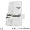 peugeot 98038020dx p144a95