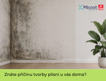 Plíseň se stále vrací? Možná přehlížíte skutečnou příčinu