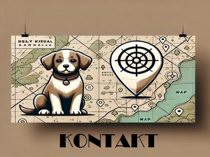 Kontakt
