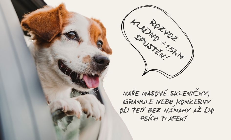 kladno rozvoz