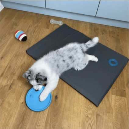 Snímek obrazovky 2025 11 22 v 9.38.11