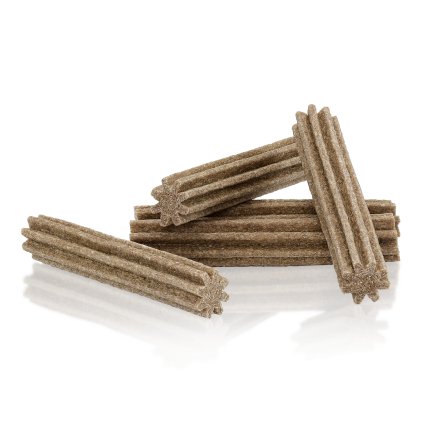 probiotics cinnamon teeth delights